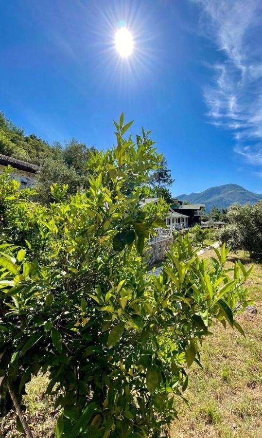 Angels Garden Hotel Kumluca Exterior photo